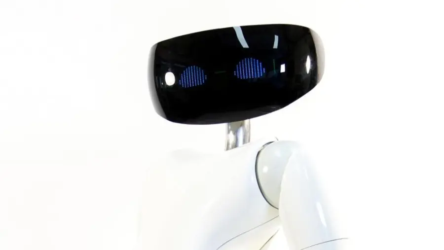 Robot R1: maggiordomo umanoide