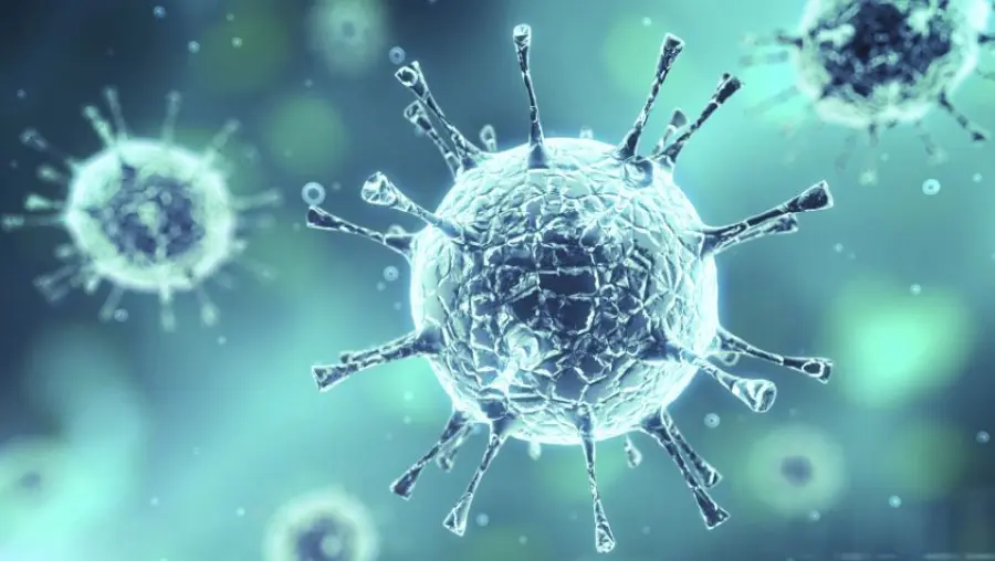 E se i tumori fossero contagiosi?