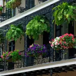 Estate in arrivo: come irrigare le piante sul balcone