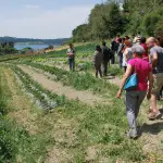 Tavola rotonda: la nuova legge sull'agricoltura sociale