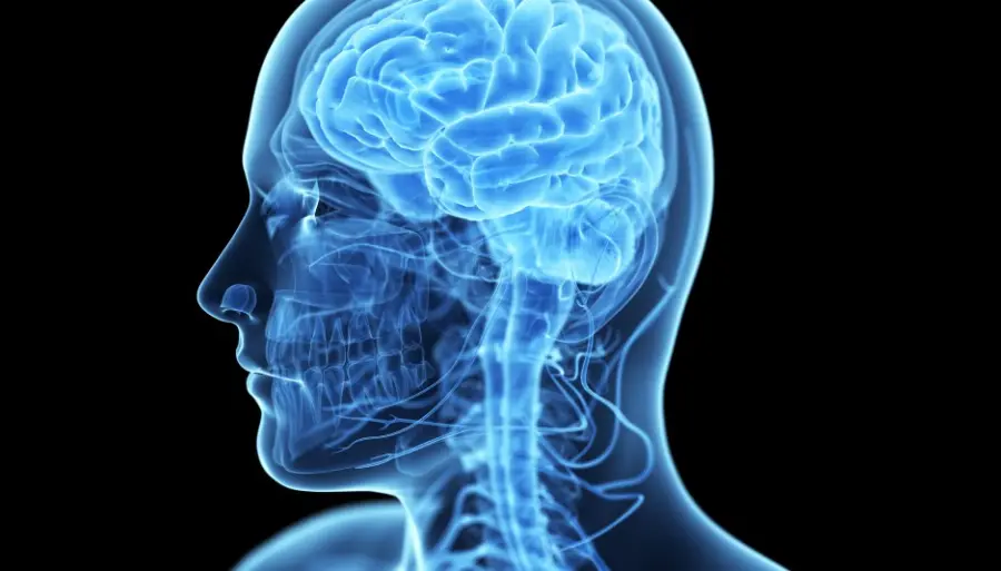 Sindrome di Asperger: cos’è, sintomi e linee guida per una diagnosi precoce