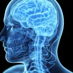 Sindrome di Asperger: cos’è, sintomi e linee guida per una diagnosi precoce