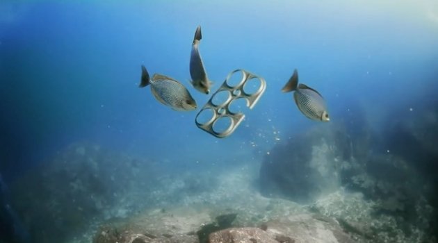 Imballaggio birra diventa cibo per pesci: idea green della Saltwater Brewery