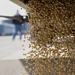 Bayer e Monsanto: matrimonio vicino, offerta del colosso tedesco