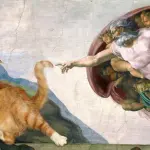 Cosa fanno gli animali nel tempo libero