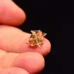 Robot origami per combattere obesità (VIDEO)