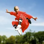 Shaolin per combattere stress e malattie