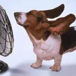 Estate 2016 Meteo: si prevede clima torrido e picchi di quasi 45°, la più calda degli ultimi anni