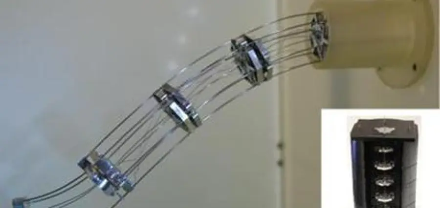 Robot serpente frutto del genio italiano: evita ostacoli e si curva