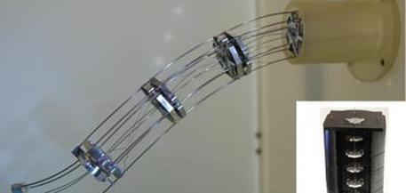 Robot serpente frutto del genio italiano: evita ostacoli e si curva