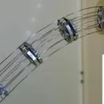 Robot serpente frutto del genio italiano: evita ostacoli e si curva