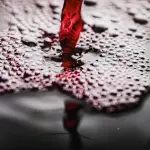 Vino Rosso e Longevità: Beneficio o Rischio Nascosto?