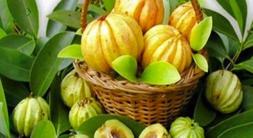 Garcinia Cambogia, cosa c'è da sapere sulla pianta che fa perdere peso