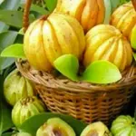 Garcinia Cambogia, cosa c'è da sapere sulla pianta che fa perdere peso