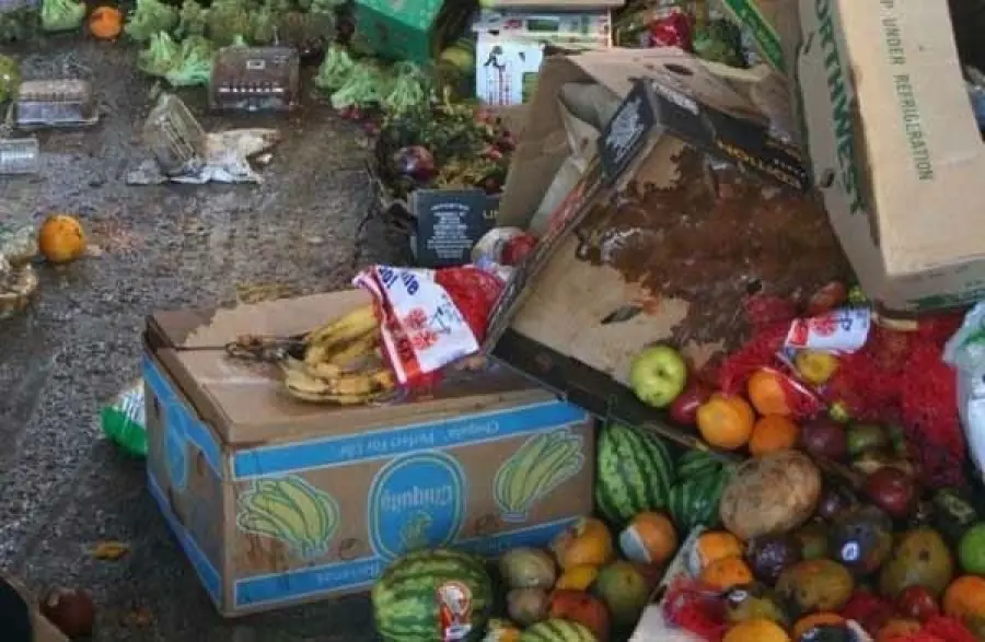 Spreco Alimentare: Family Bag nei Ristoranti, Upgrade Doggy Bag