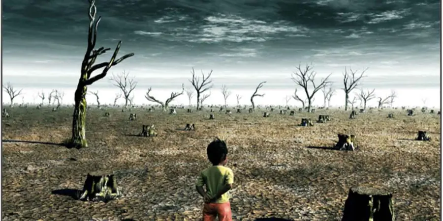 63 parassiti distruggeranno piante, fiori e colture: colpa dei cambiamenti climatici