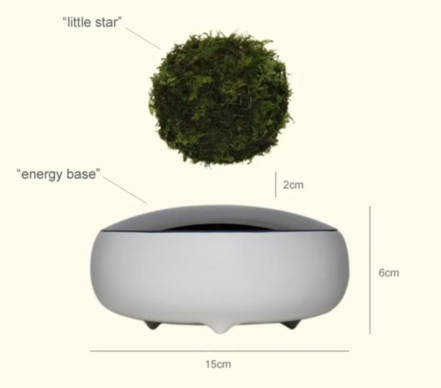 Air Bonsai, quando il bonsai viene coltivato a mezz'aria