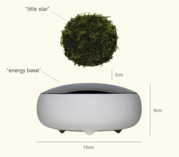 Air Bonsai, quando il bonsai viene coltivato a mezz'aria