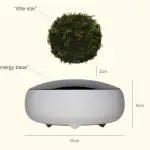 Air Bonsai, quando il bonsai viene coltivato a mezz'aria