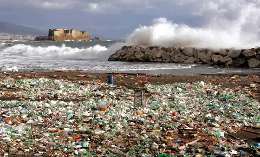 Più plastica e meno pesci negli oceani entro il 2050