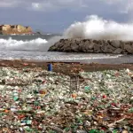 Più plastica e meno pesci negli oceani entro il 2050