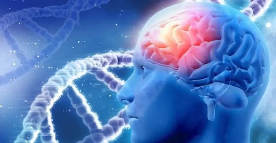 Cellule staminali, ricerca di SISSA e Burlo: possibile cura malattie genetiche e degenerative