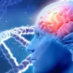 Cellule staminali, ricerca di SISSA e Burlo: possibile cura malattie genetiche e degenerative