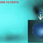 Ufo nei cieli del Salento visto da passeggeri bus