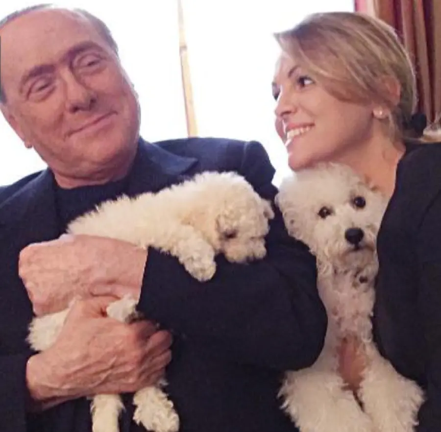 Dudù e Dudina diventano genitori, Silvio Berlusconi terrà cuccioli ad Arcore