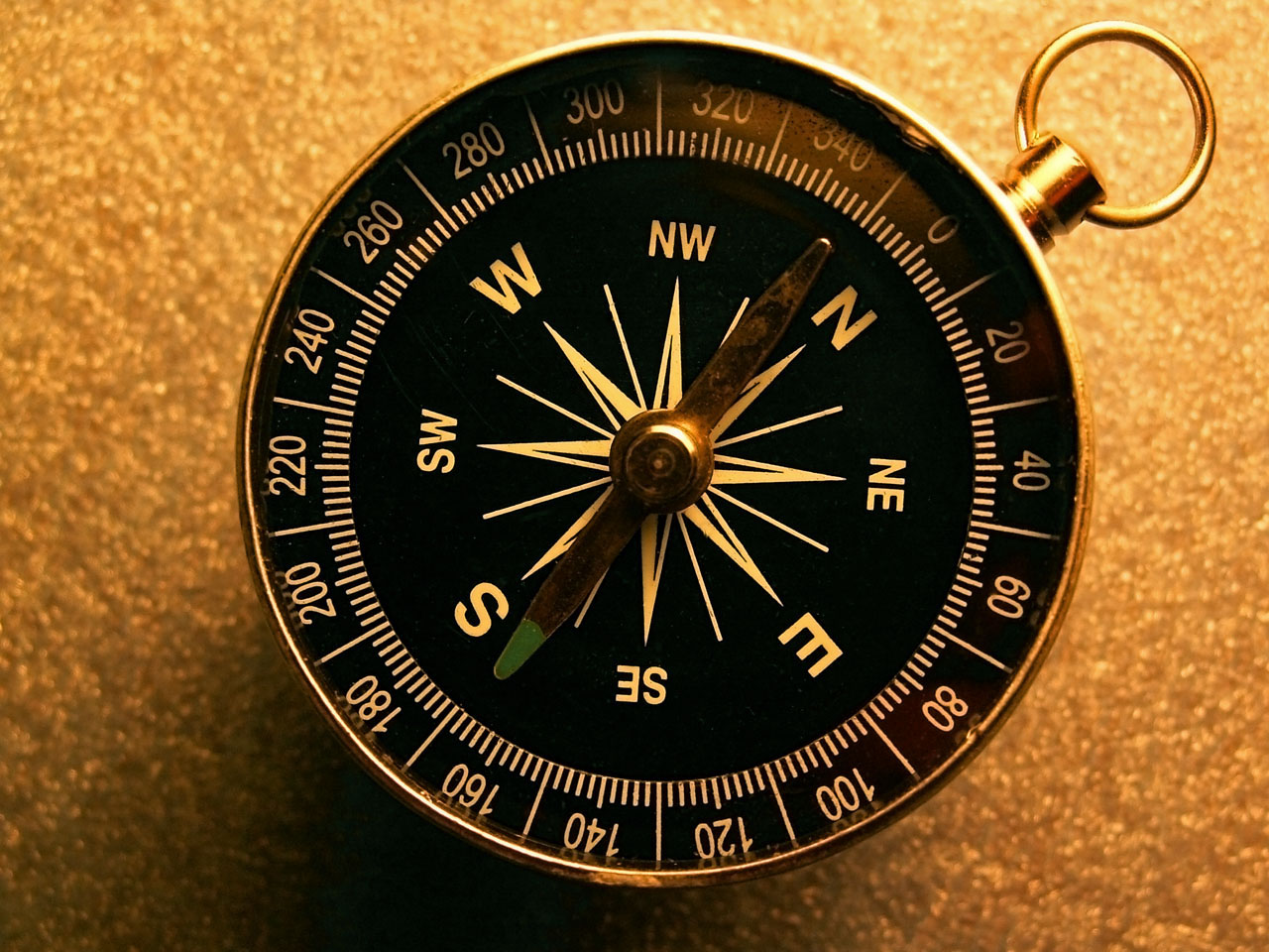 Capacità orientamento maschile infallibile per testosterone