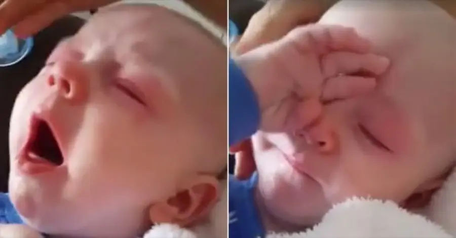 "Vaccinatevi", Video Rebecca Harreman Diventa Virale: Anti-Vaccinisti Indignati