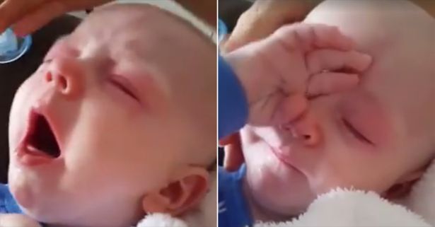 "Vaccinatevi", Video Rebecca Harreman Diventa Virale: Anti-Vaccinisti Indignati