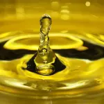 Olio Extravergine d'Oliva: Pd Permette Aggiunta Digliceridi, M5S Vuole Chiarimenti