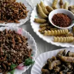 Insetti e Alghe a Tavola: Italia Supererà Tabù Culinario?