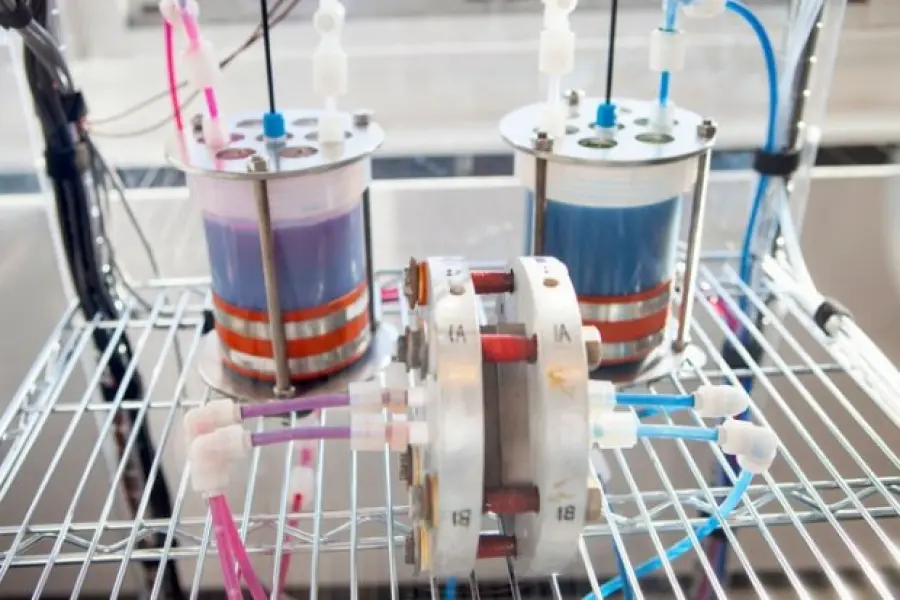 Batterie al Rabarbaro: Potenti e Low Cost, Green Energy Storage Acquista Brevetto