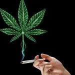 Legalizzazione Cannabis, Iter Parlamentare Inizia: Italia come Oregon?