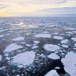 GHIACCI ALPINI SI RIDUCONO: SPECIE ANIMALI A RISCHIO, MONITO WWF