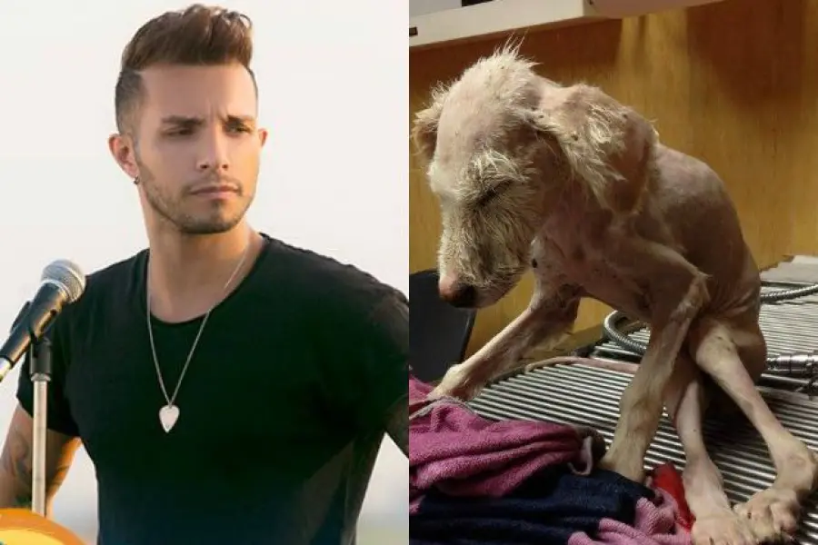 Marco Carta parla di Memole su Fb: cagnolina abbandonata