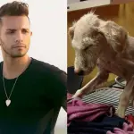 Marco Carta parla di Memole su Fb: cagnolina abbandonata