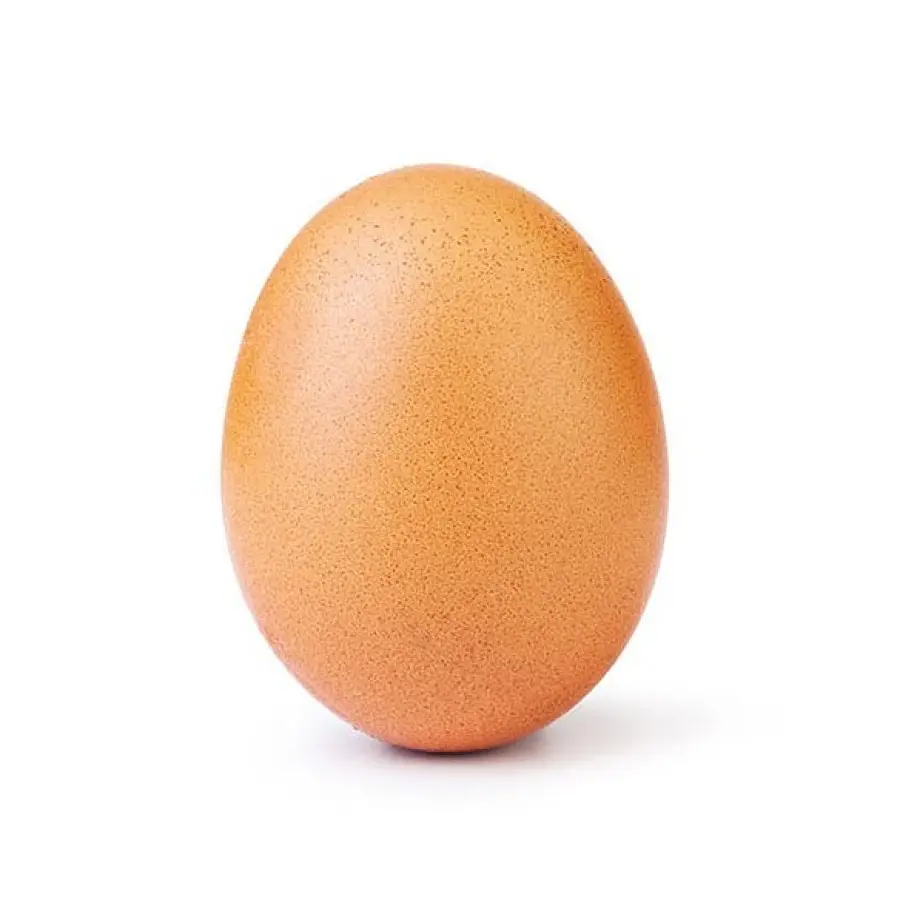 Fenomeno in rete: “world_record_egg”, l'uovo da milioni like