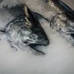 Scongelare il cibo: gli errori da non fare