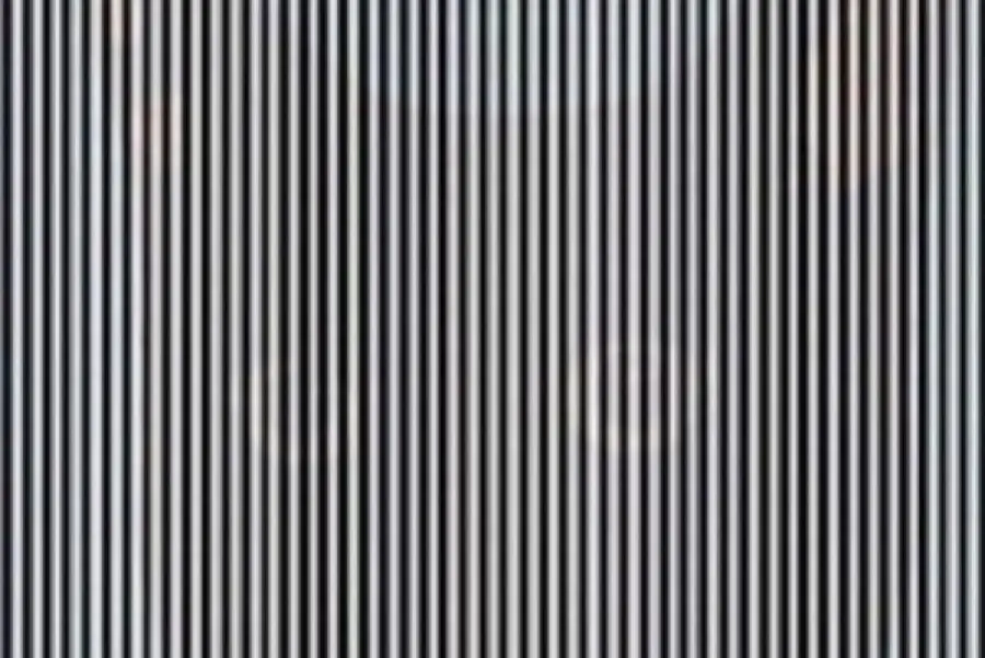 Illusione ottica: riesci a vedere l'animale nascosto nella foto?