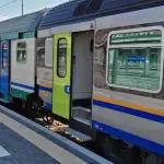 Roma: treno travolge animale sui binari, chiuso tratto ferroviario