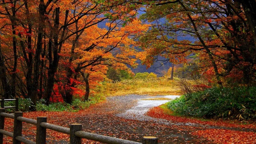Come non ammalarsi al cambio di stagione e come non prendere l’influenza in autunno?