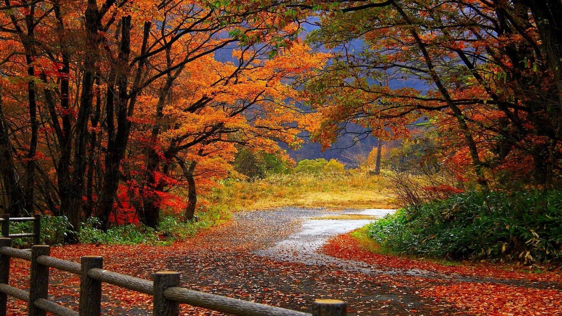 Come non ammalarsi al cambio di stagione e come non prendere l’influenza in autunno?