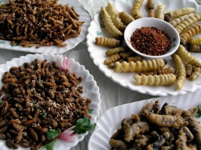 Insetti e Alghe a Tavola: Italia Supererà Tabù Culinario?