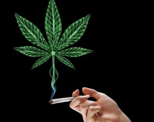 Cannabis, Iter Parlamentare Inizia