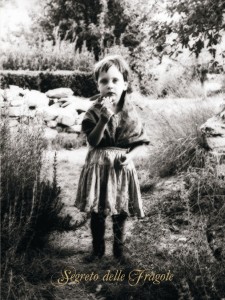 Il segreto delle fragole - Copertina