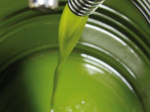 Olio extravergine d'oliva spacciato per "100% made in Italy"