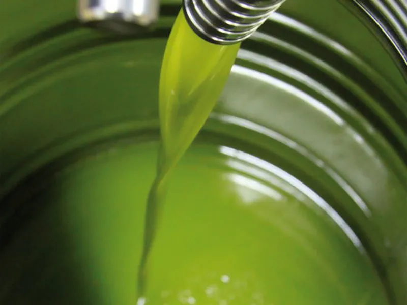 Olio extracomunitario venduto come 100% italiano: maxi frode al made in Italy